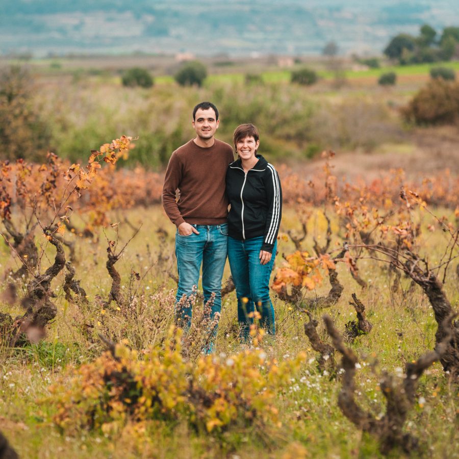 _Vins_50 _Vins_50